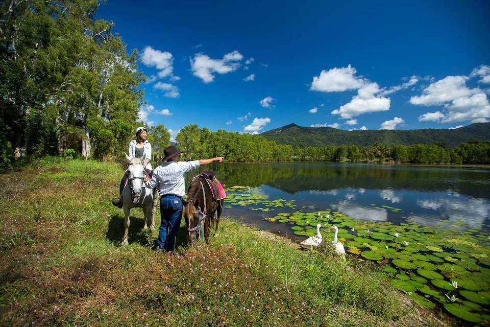 Experience Cairns through Horseback Riding