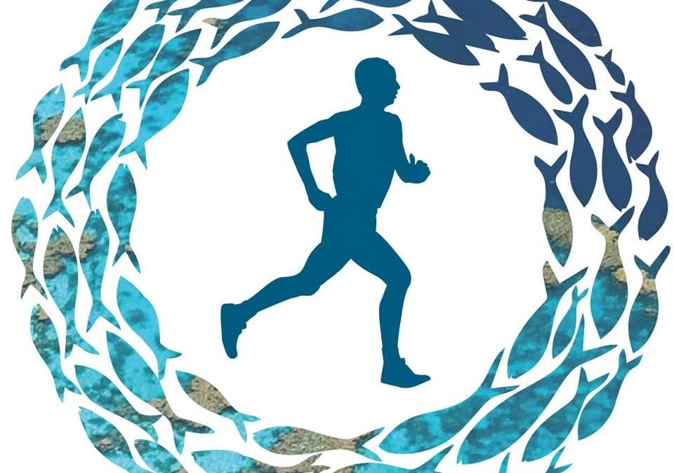 Go the Distance with Great Barrier Reef Marathon Festival!